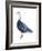 Blue Goose (Chen Caerulescens), Birds-Encyclopaedia Britannica-Framed Art Print