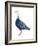 Blue Goose (Chen Caerulescens), Birds-Encyclopaedia Britannica-Framed Art Print