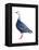 Blue Goose (Chen Caerulescens), Birds-Encyclopaedia Britannica-Framed Stretched Canvas