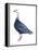 Blue Goose (Chen Caerulescens), Birds-Encyclopaedia Britannica-Framed Stretched Canvas