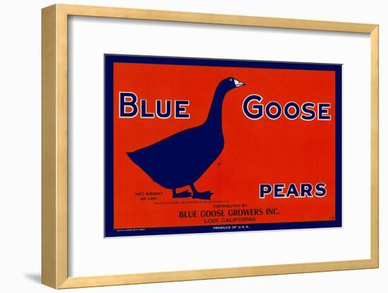 Blue Goose Pears-null-Framed Giclee Print