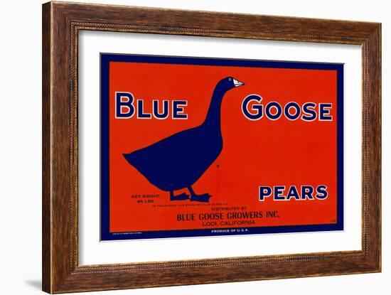 Blue Goose Pears-null-Framed Giclee Print