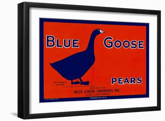 Blue Goose Pears-null-Framed Giclee Print