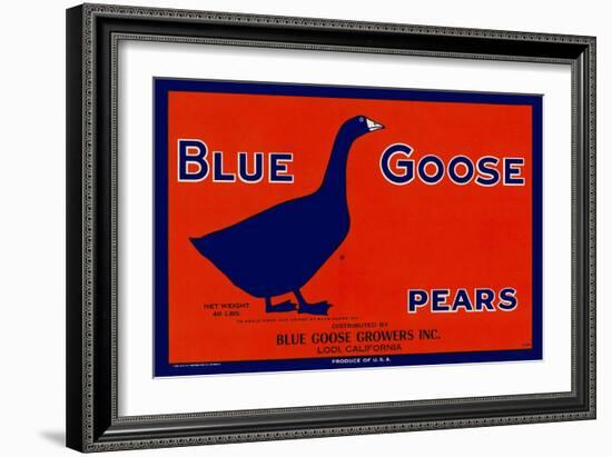 Blue Goose Pears-null-Framed Giclee Print