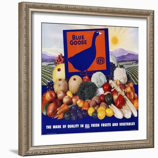 Blue Goose Poster-null-Framed Giclee Print