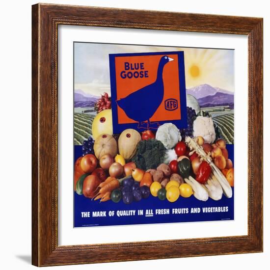 Blue Goose Poster-null-Framed Giclee Print