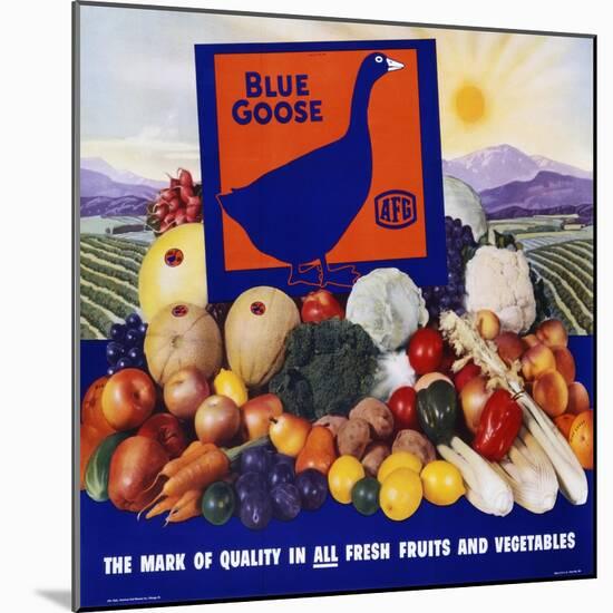 Blue Goose Poster-null-Mounted Giclee Print