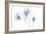 Blue Graphite Floral Trio-Avery Tillmon-Framed Art Print