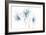 Blue Graphite Floral Trio-Avery Tillmon-Framed Art Print