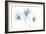 Blue Graphite Floral Trio-Avery Tillmon-Framed Art Print