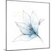 Blue Graphite Flower IX-Avery Tillmon-Mounted Art Print