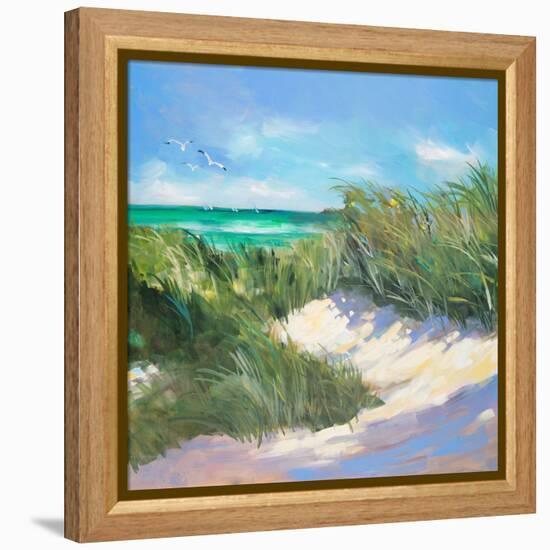 Blue Grass Breeze I-Jane Slivka-Framed Stretched Canvas