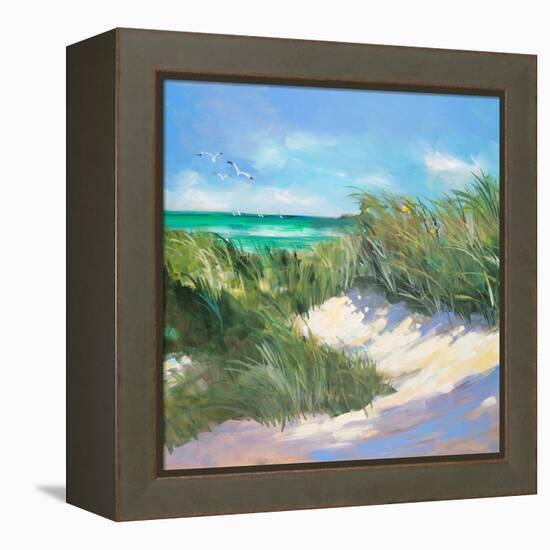 Blue Grass Breeze I-Jane Slivka-Framed Stretched Canvas