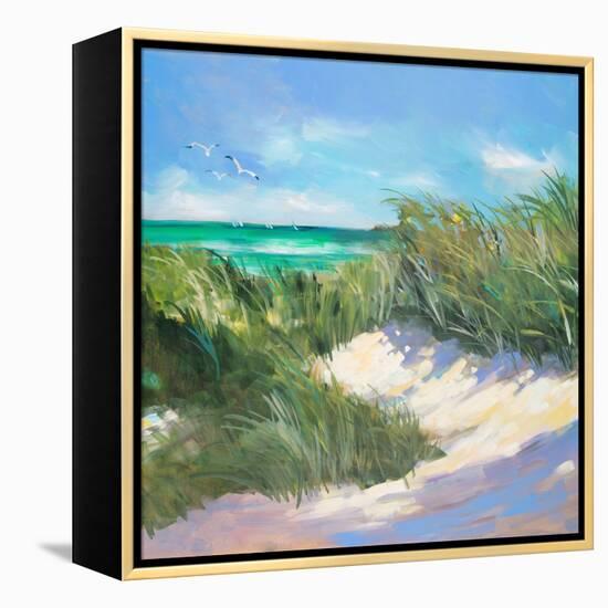 Blue Grass Breeze I-Jane Slivka-Framed Stretched Canvas