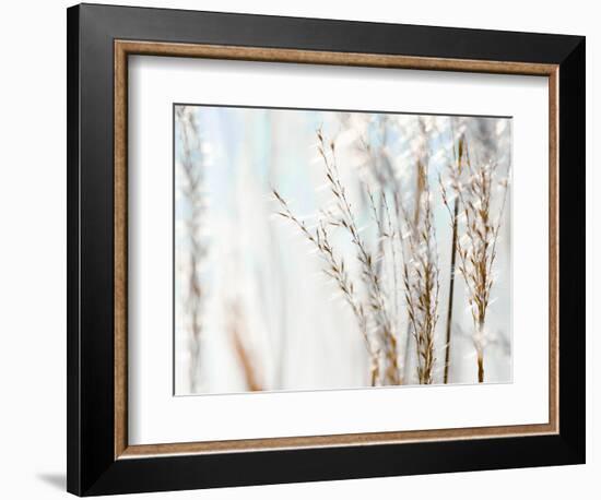 Blue Grasses-Tracey Telik-Framed Photographic Print