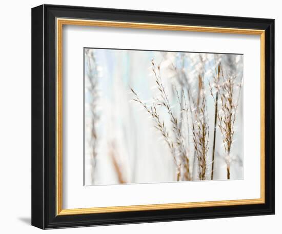 Blue Grasses-Tracey Telik-Framed Photographic Print