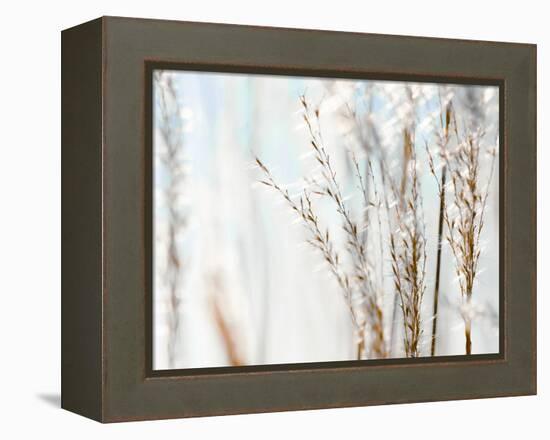 Blue Grasses-Tracey Telik-Framed Premier Image Canvas