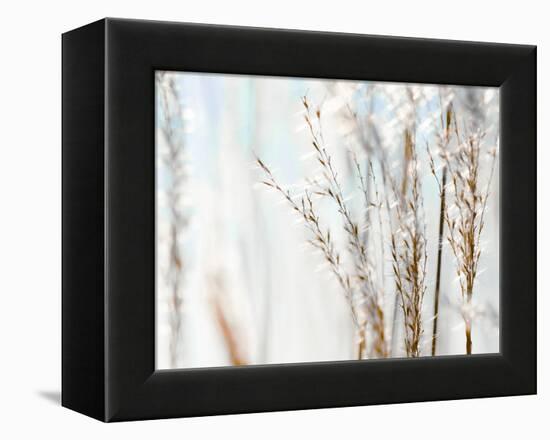 Blue Grasses-Tracey Telik-Framed Premier Image Canvas