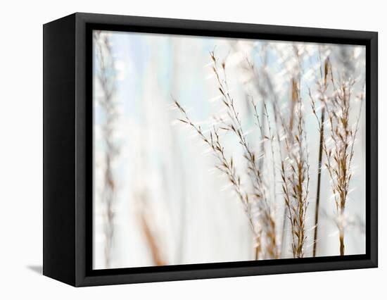 Blue Grasses-Tracey Telik-Framed Premier Image Canvas