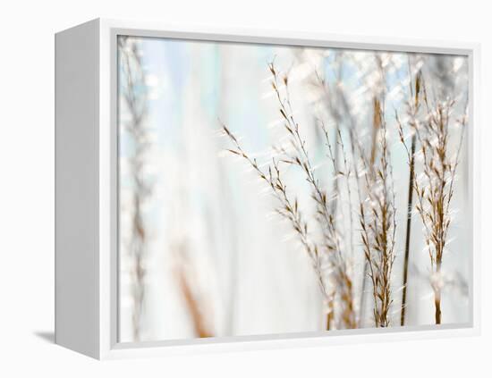 Blue Grasses-Tracey Telik-Framed Premier Image Canvas