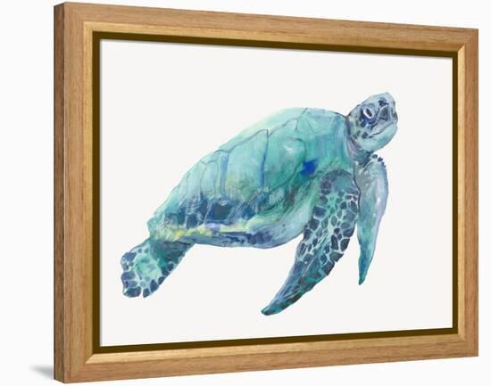 Blue Great Sea Turtle I-Jacob Q-Framed Stretched Canvas