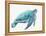 Blue Great Sea Turtle I-Jacob Q-Framed Stretched Canvas