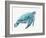 Blue Great Sea Turtle I-Jacob Q-Framed Art Print