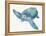 Blue Great Sea Turtle II-Jacob Q-Framed Stretched Canvas