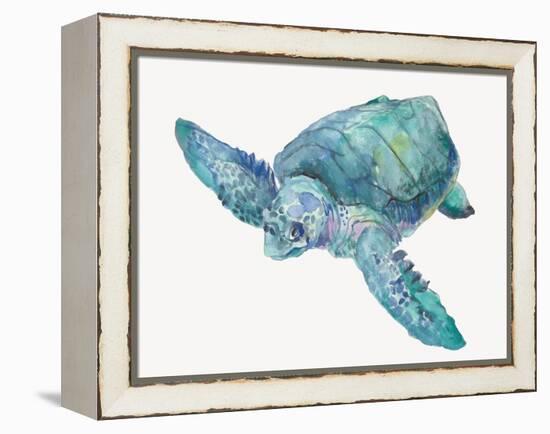 Blue Great Sea Turtle II-Jacob Q-Framed Stretched Canvas