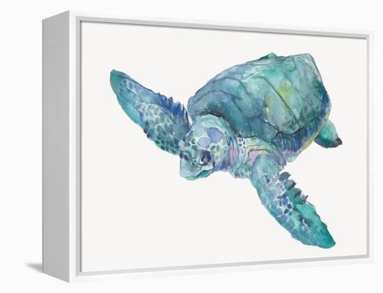 Blue Great Sea Turtle II-Jacob Q-Framed Stretched Canvas