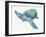 Blue Great Sea Turtle II-Jacob Q-Framed Art Print