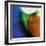 Blue, Green, and Orange Flow, c.2008-Pier Mahieu-Framed Premium Giclee Print