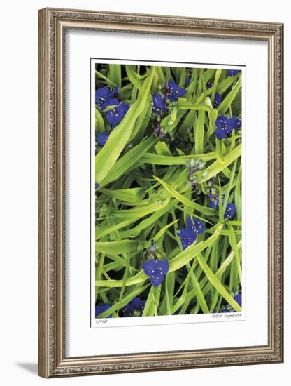 Blue Green Study-Stacy Bass-Framed Giclee Print