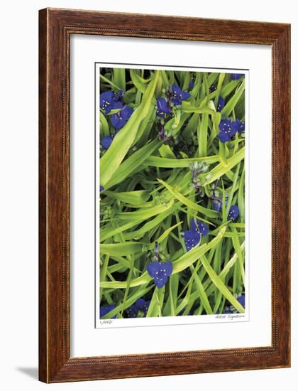 Blue Green Study-Stacy Bass-Framed Giclee Print