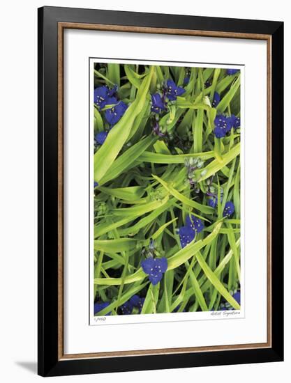 Blue Green Study-Stacy Bass-Framed Giclee Print