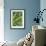 Blue Green Study-Stacy Bass-Framed Giclee Print displayed on a wall