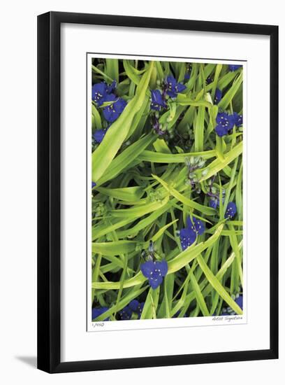 Blue Green Study-Stacy Bass-Framed Giclee Print