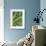 Blue Green Study-Stacy Bass-Framed Giclee Print displayed on a wall