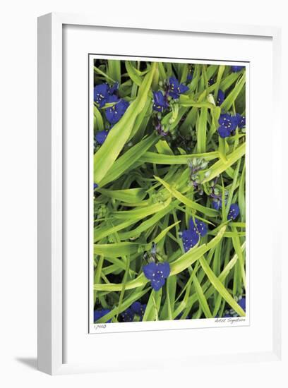 Blue Green Study-Stacy Bass-Framed Giclee Print