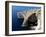 Blue Grotto Near Zurrieq, Malta, Mediterranean, Europe-Hans Peter Merten-Framed Photographic Print