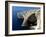 Blue Grotto Near Zurrieq, Malta, Mediterranean, Europe-Hans Peter Merten-Framed Photographic Print