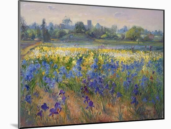 Blue Haze at Burgate, 1993-Timothy Easton-Mounted Giclee Print