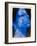 Blue Head, 1998-Graham Dean-Framed Giclee Print