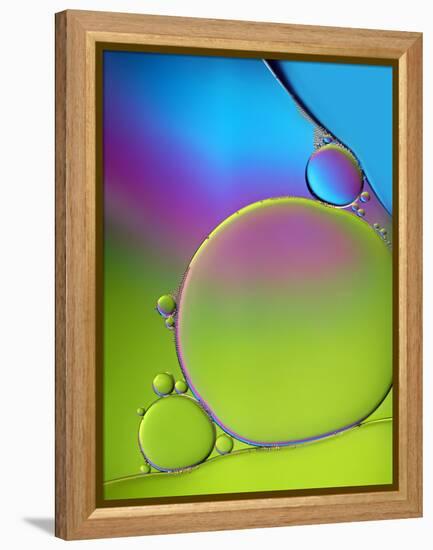 Blue Headache-Heidi Westum-Framed Premier Image Canvas