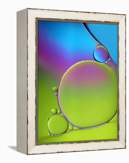 Blue Headache-Heidi Westum-Framed Premier Image Canvas