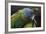 Blue Headed Macaw (Primolius Couloni) One Stretching its Wing over Another-Edwin Giesbers-Framed Photographic Print