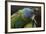 Blue Headed Macaw (Primolius Couloni) One Stretching its Wing over Another-Edwin Giesbers-Framed Photographic Print