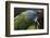 Blue Headed Macaw (Primolius Couloni) One Stretching its Wing over Another-Edwin Giesbers-Framed Photographic Print