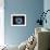 Blue Heart Diamond-null-Framed Photographic Print displayed on a wall