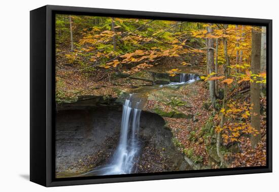 Blue Hens Falls in Autumn in Cuyahoga National Park, Ohio, USA-Chuck Haney-Framed Premier Image Canvas